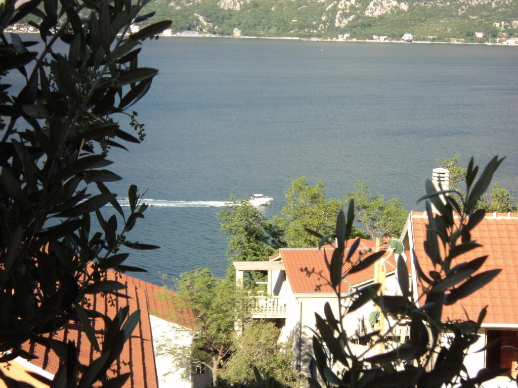 Guest House Pajovic Котор Экстерьер фото