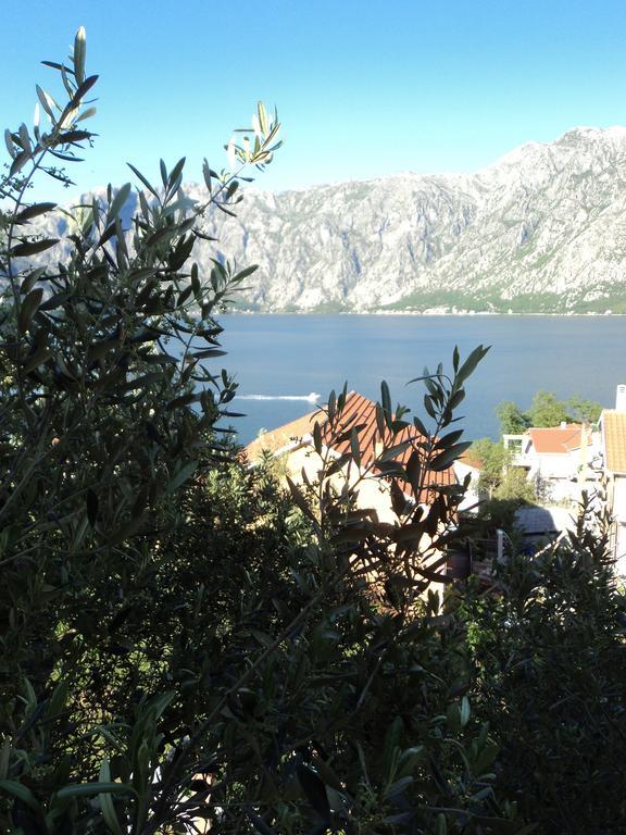 Guest House Pajovic Котор Экстерьер фото